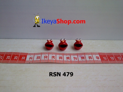 rsn 479  large2